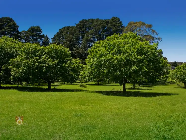 Third view of Homely land listing, 25 Recreation Road, Kinglake West VIC 3757