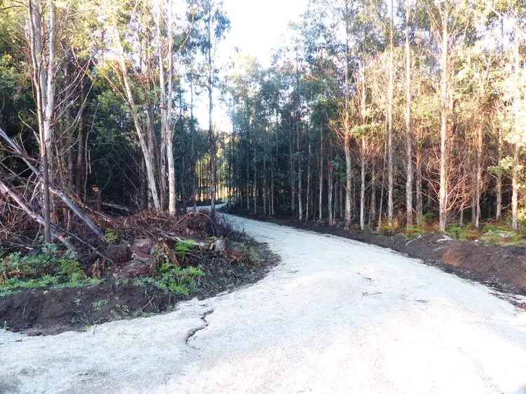Second view of Homely rural property listing, 213 East Diddleum Road, Tayene TAS 7259