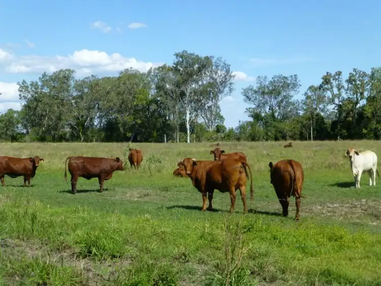 Seventh view of Homely rural property listing, Address available on request