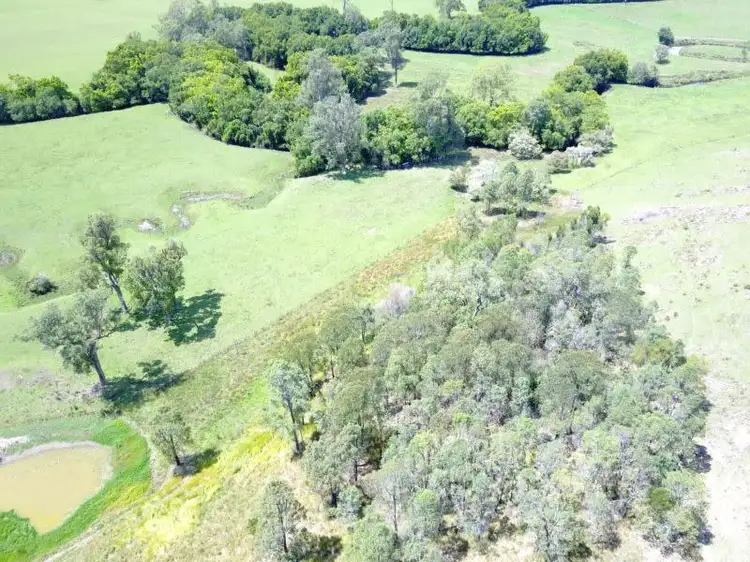 Third view of Homely rural property listing, 717 Flat Tops Road, Cambra Via, Dungog NSW 2420