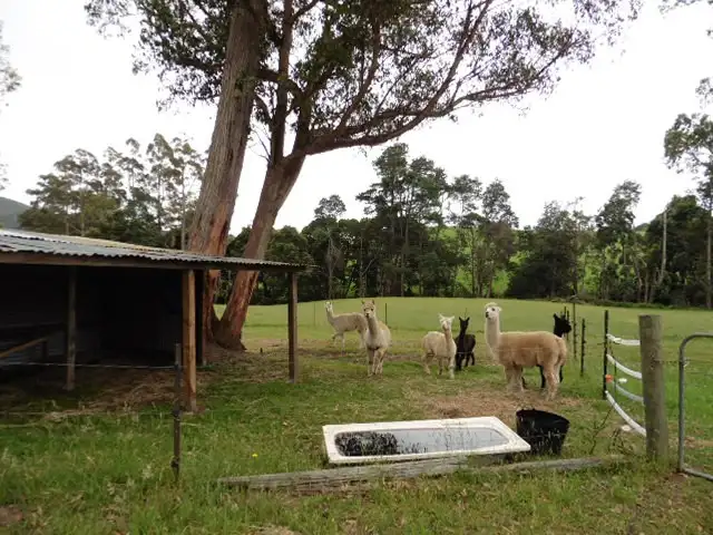 Fifth view of Homely house listing, 486 East Maurice Road, Ringarooma TAS 7263