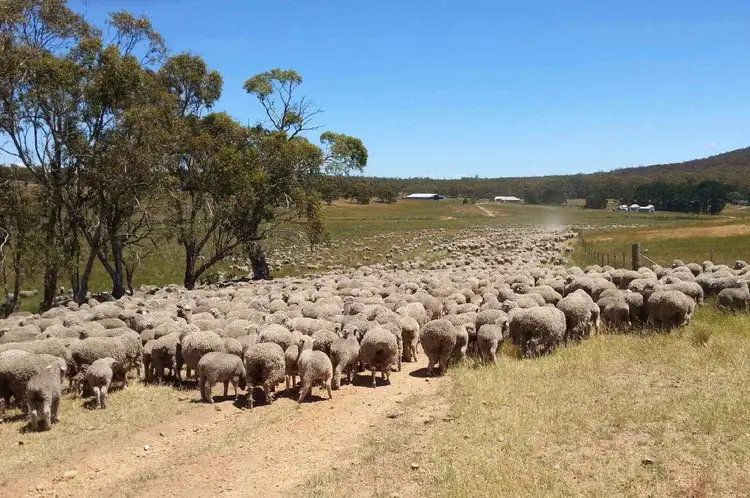 Main view of Homely house listing, 5, 3584 Kings Highway, Bungendore NSW 2621