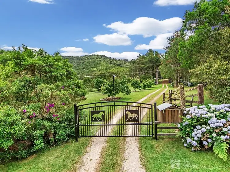 Main view of Homely house listing, 2792 Springbrook Road, Springbrook QLD 4213