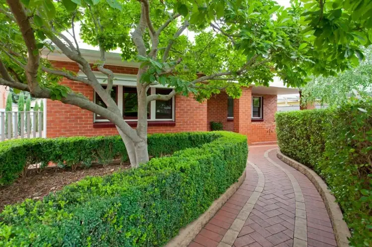 381 North Street, Albury NSW 2640