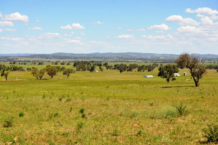 343 Puggoon Road, Gulgong NSW 2852