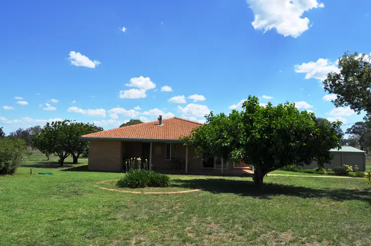 Second view of Homely rural property listing, 343 Puggoon Road, Gulgong NSW 2852