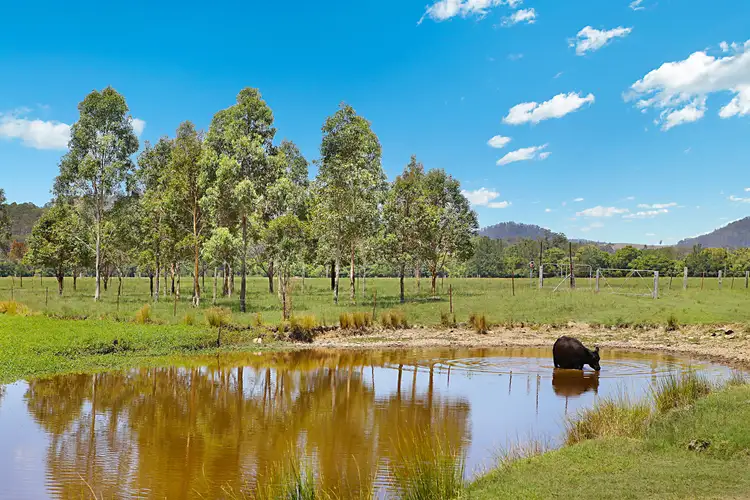Third view of Homely rural property listing, 3964 Clarence Town Road, Brookfield Via, Dungog NSW 2420