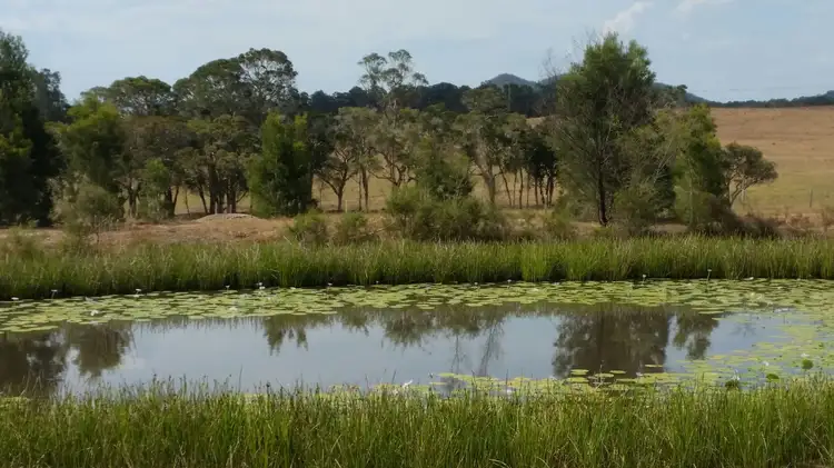 Third view of Homely rural property listing, 101 Meadows Drive, Clarence Town NSW 2321
