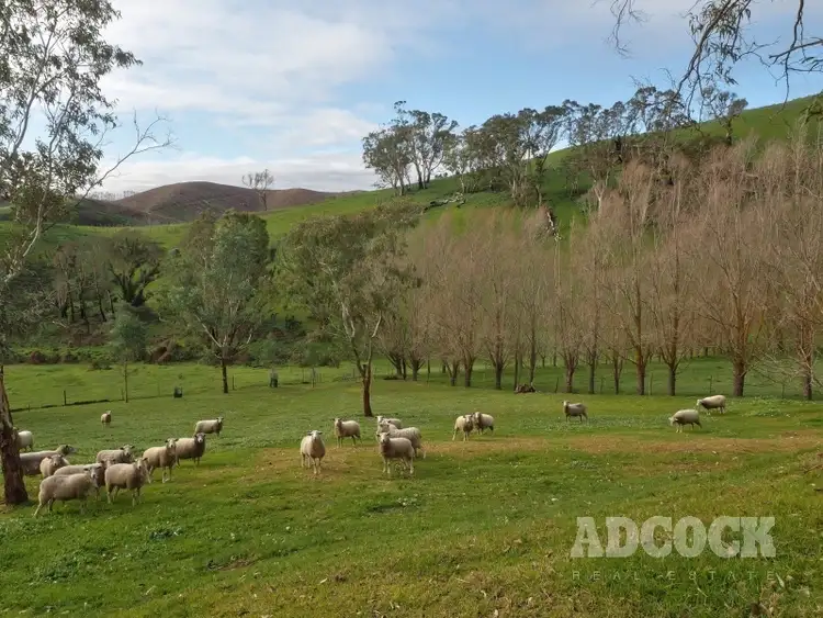 Fifth view of Homely house listing, 420 Retreat Valley Road, Gumeracha SA 5233