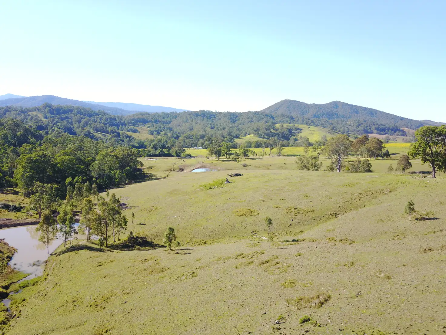 Main view of Homely rural property listing, Chichester Road, Chichester Via, Dungog NSW 2420