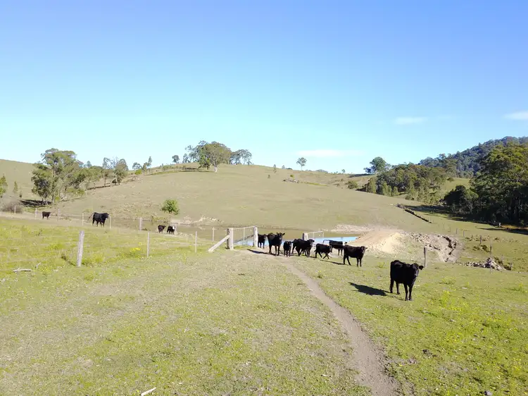Second view of Homely rural property listing, Chichester Road, Chichester Via, Dungog NSW 2420