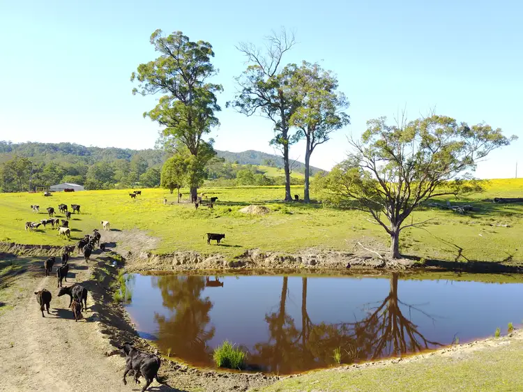 Sixth view of Homely rural property listing, Chichester Road, Chichester Via, Dungog NSW 2420