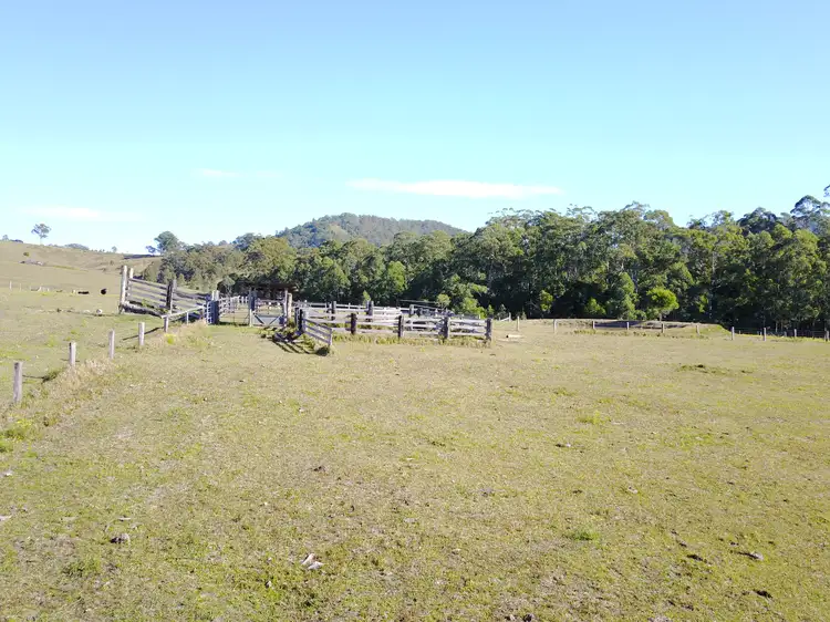 Seventh view of Homely rural property listing, Chichester Road, Chichester Via, Dungog NSW 2420