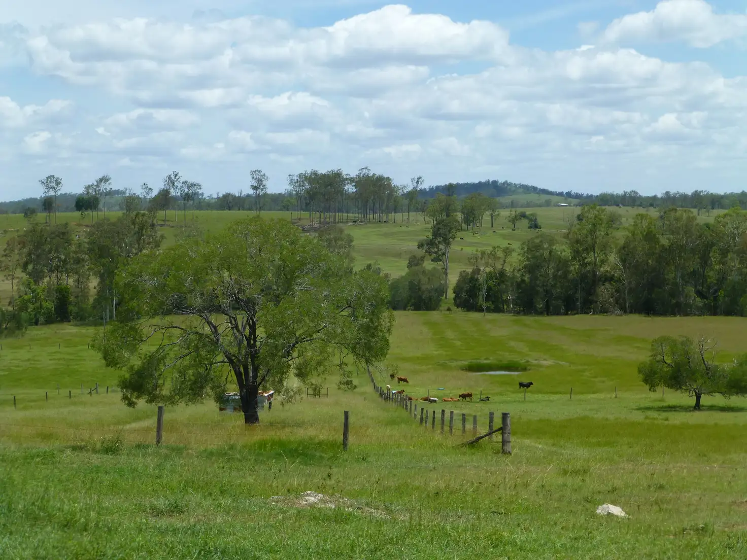 Main view of Homely rural property listing, Address available on request