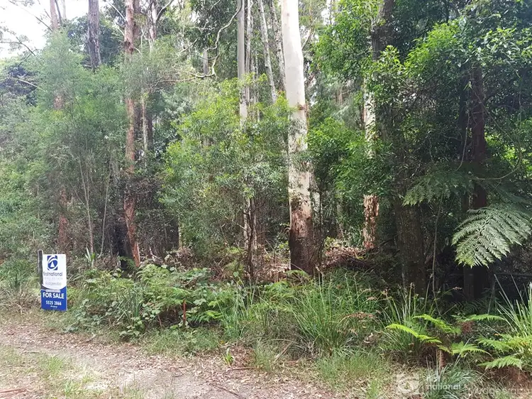 1981 Springbrook Road, Springbrook QLD 4213