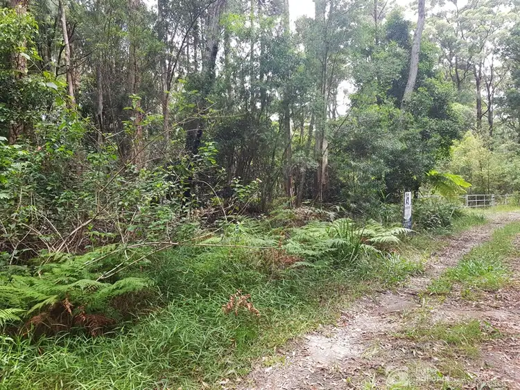 Second view of Homely land listing, 1981 Springbrook Road, Springbrook QLD 4213