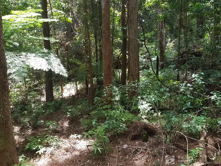 Sixth view of Homely land listing, 1981 Springbrook Road, Springbrook QLD 4213