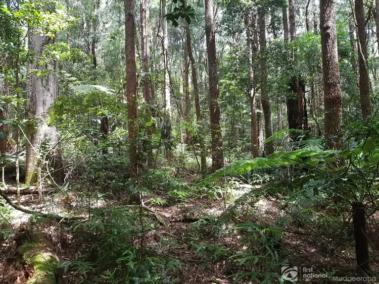 Seventh view of Homely land listing, 1981 Springbrook Road, Springbrook QLD 4213