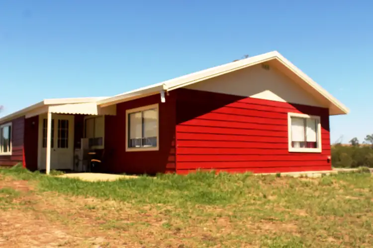 Fourth view of Homely rural property listing, 915 Blue Springs Road, Gulgong NSW 2852