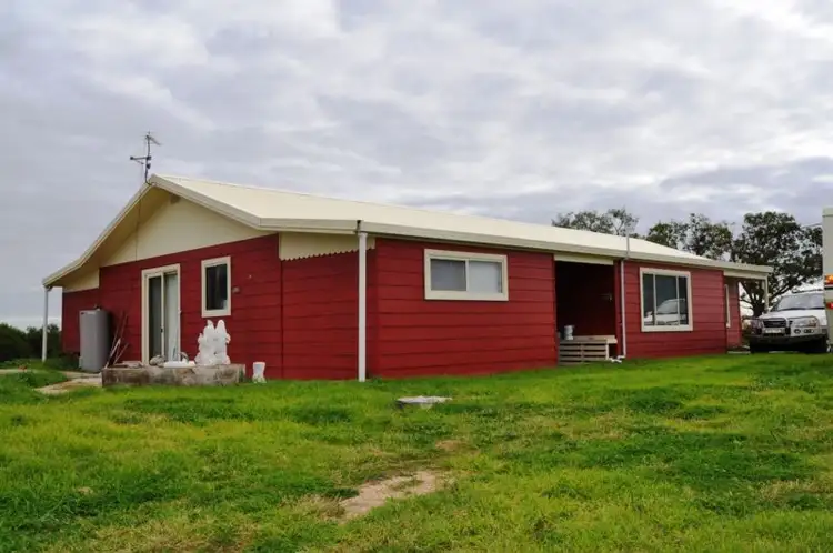 Fifth view of Homely rural property listing, 915 Blue Springs Road, Gulgong NSW 2852