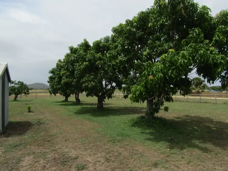 Sixth view of Homely house listing, 59 FLEMINGTON ROAD, Bowen QLD 4805