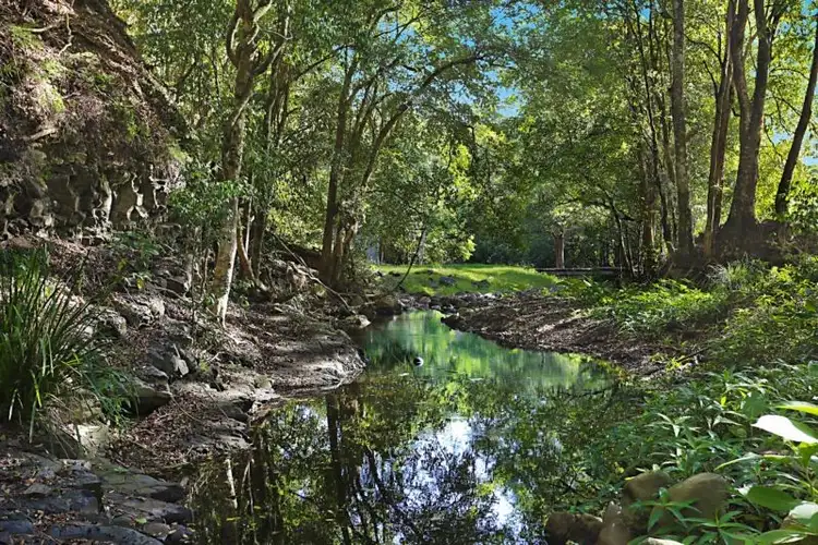 Sixth view of Homely rural property listing, 227 Moylans Road, FOSTERTON Via, Dungog NSW 2420