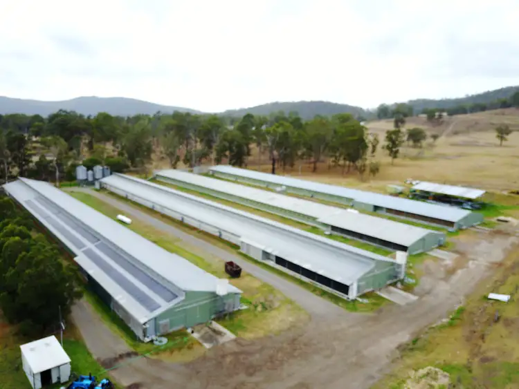 Third view of Homely rural property listing, 339 Gresford Road, Paterson NSW 2421