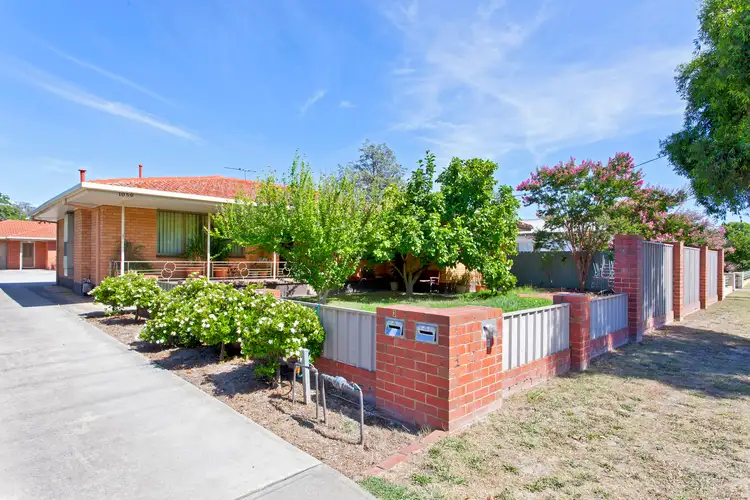 1/1059 Calimo Street, North Albury NSW 2640