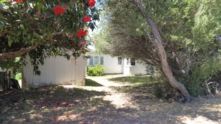 Main view of Homely house listing, 86 Richard Street, Bridport TAS 7262