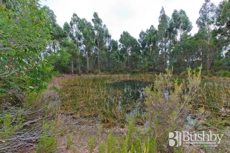 Sixth view of Homely land listing, 131 Jay Dee Road, Glengarry TAS 7275