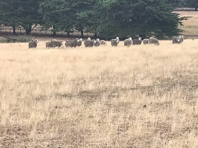 Sixth view of Homely land listing, 25 Power Street, Campbell Town TAS 7210