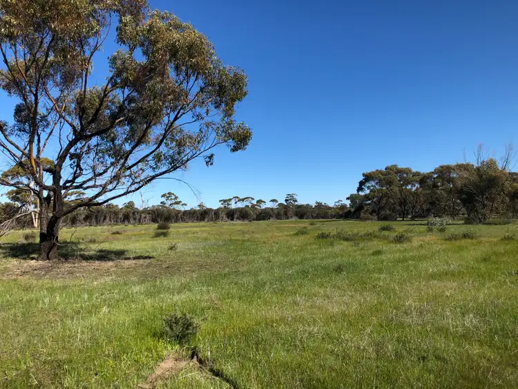 Fourth view of Homely rural property listing, 801 Dale Kokeby Road, Beverley WA 6304