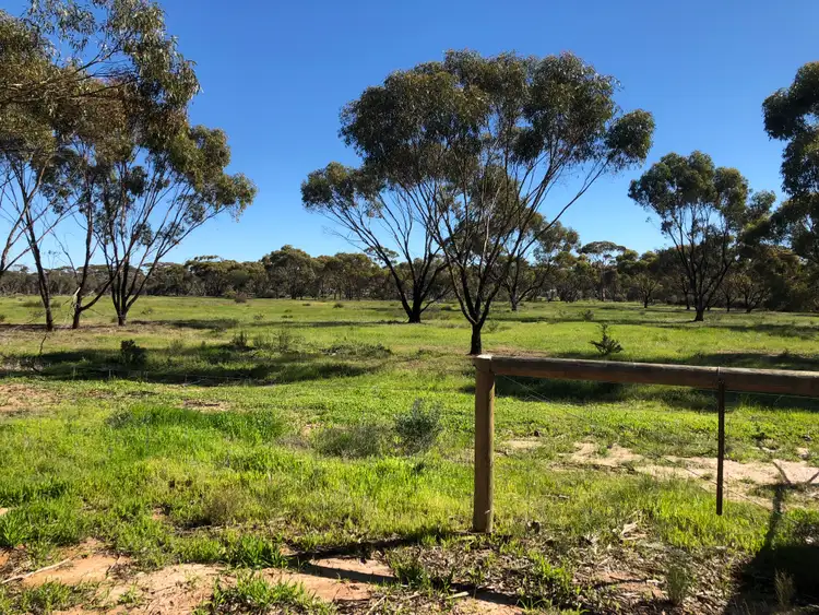 Fifth view of Homely rural property listing, 801 Dale Kokeby Road, Beverley WA 6304