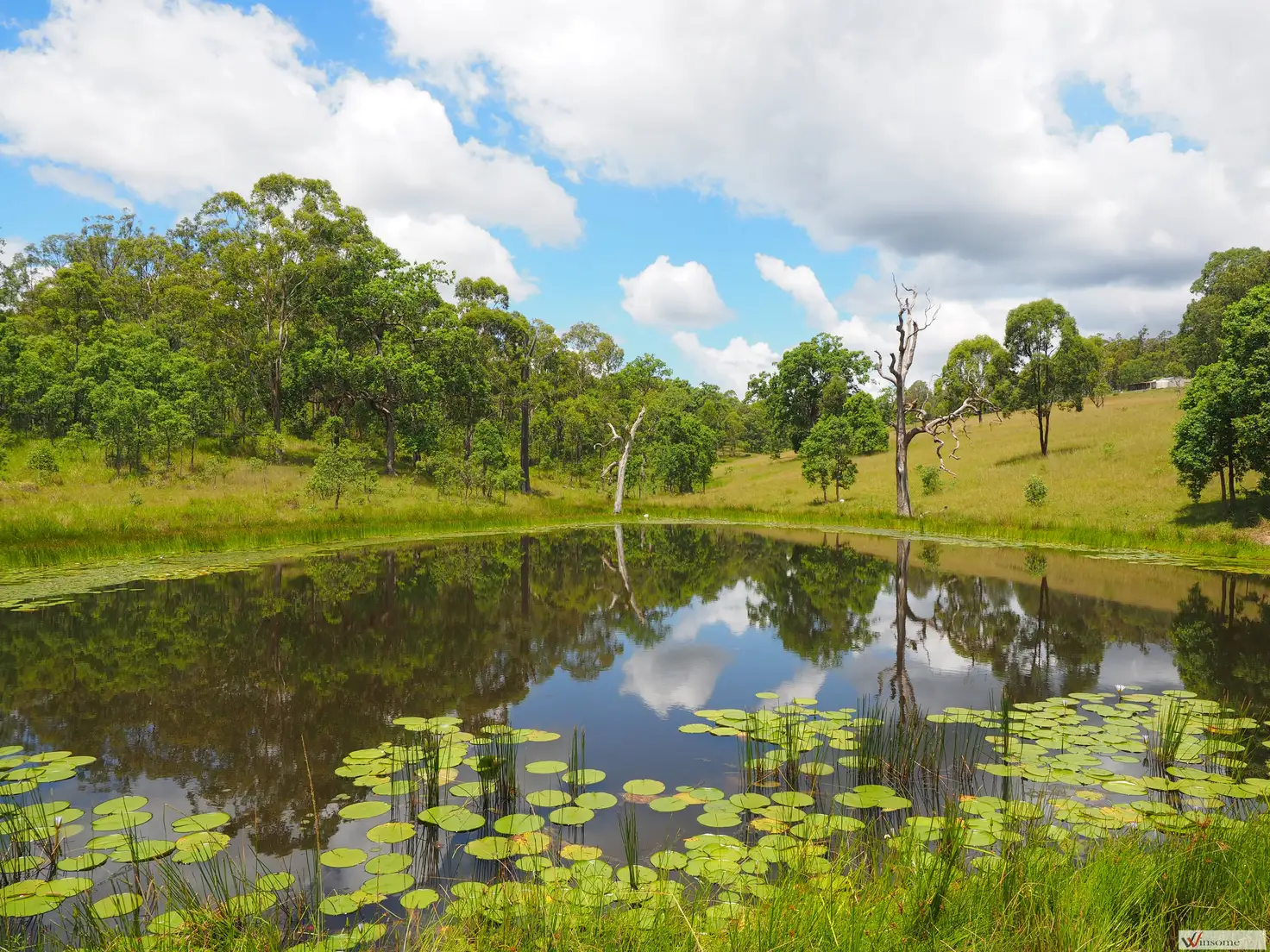 Main view of Homely rural property listing, 1649 Willi Willi Road, Temagog NSW 2440