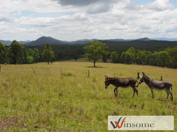 Second view of Homely rural property listing, 1649 Willi Willi Road, Temagog NSW 2440