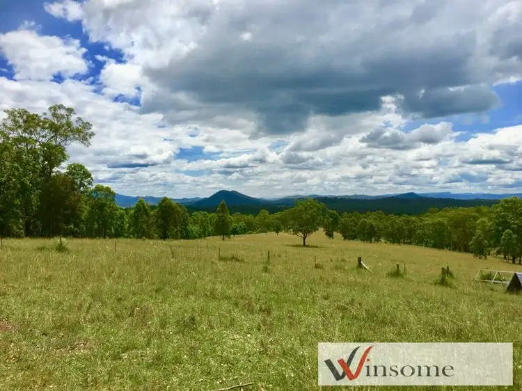 Fifth view of Homely rural property listing, 1649 Willi Willi Road, Temagog NSW 2440