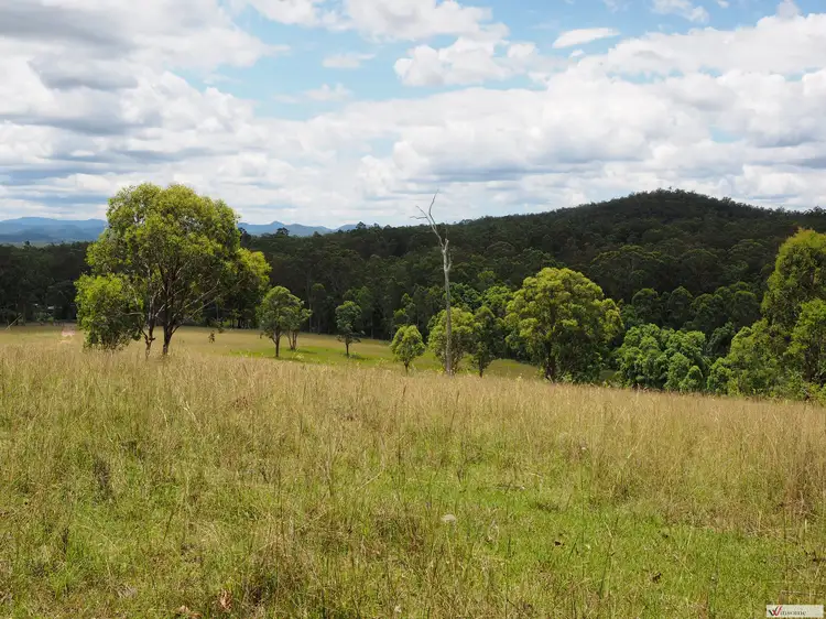 Sixth view of Homely rural property listing, 1649 Willi Willi Road, Temagog NSW 2440
