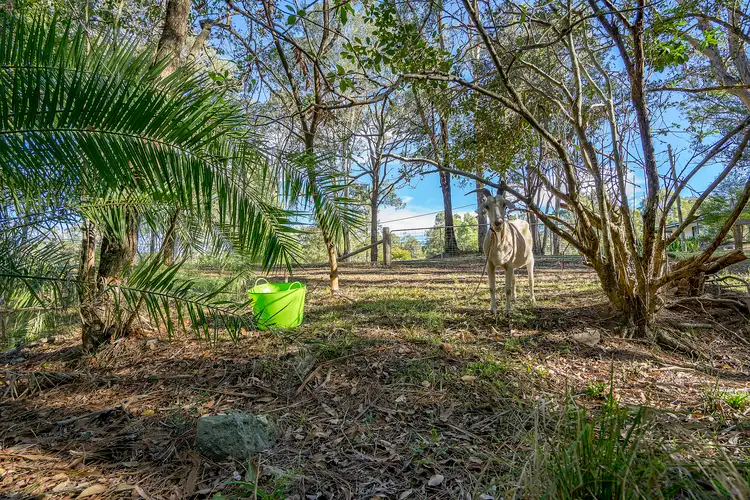 Fifth view of Homely house listing, 17 Lowe Street, Clarence Town NSW 2321