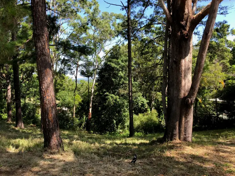 Sixth view of Homely land listing, 80 Panorama Dve, Rosemount QLD 4560