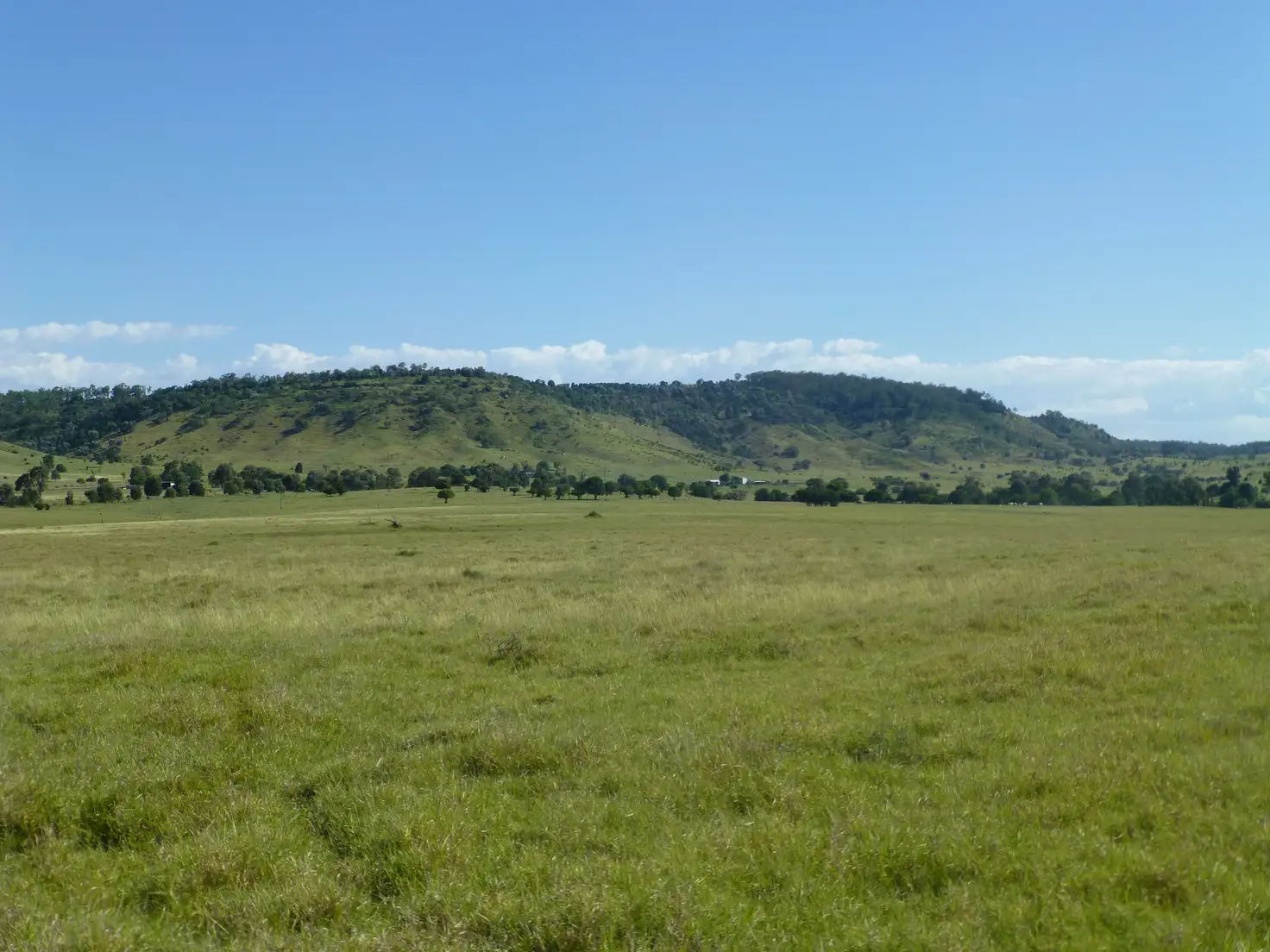 Main view of Homely rural property listing, Address available on request