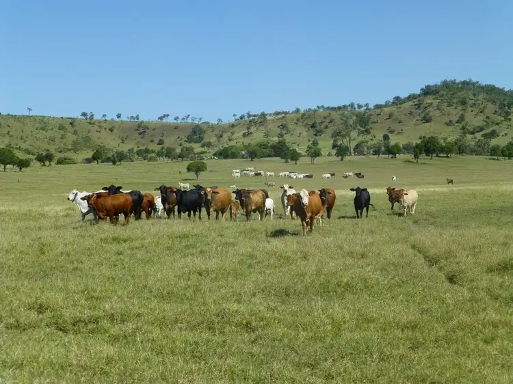 Third view of Homely rural property listing, Address available on request