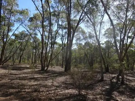 Second view of Homely land listing, LOT 12B1 Pinpandoor Road, Axedale VIC 3551