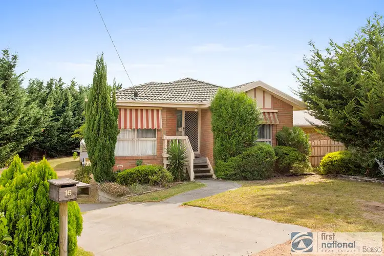 16 Pearl Court, Tootgarook VIC 3941