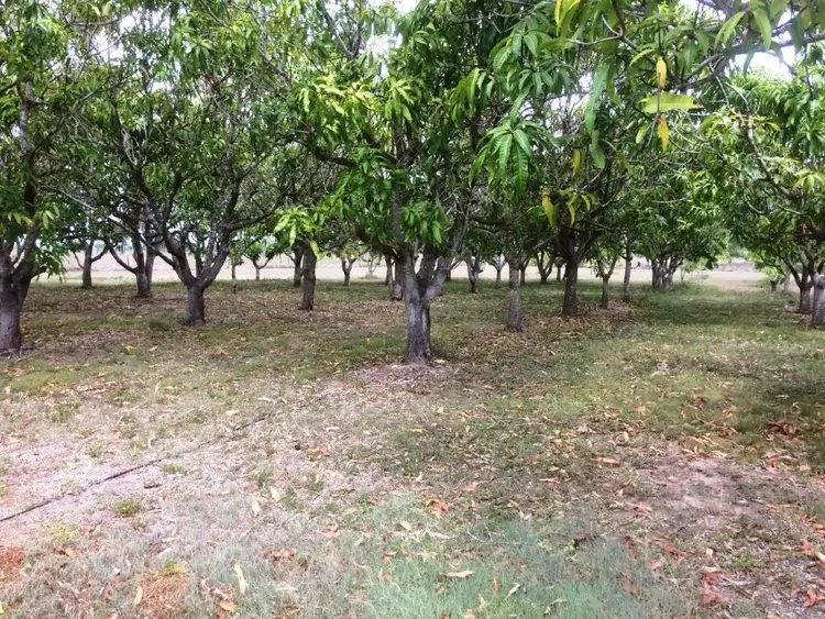 Fifth view of Homely rural property listing, 130 Balaam Road, Bowen QLD 4805