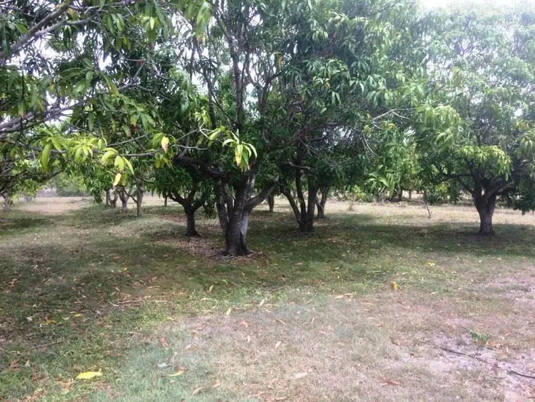 Sixth view of Homely rural property listing, 130 Balaam Road, Bowen QLD 4805