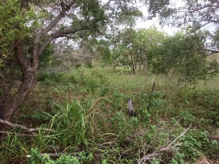 Seventh view of Homely rural property listing, 119 West Euri Road, Bowen QLD 4805