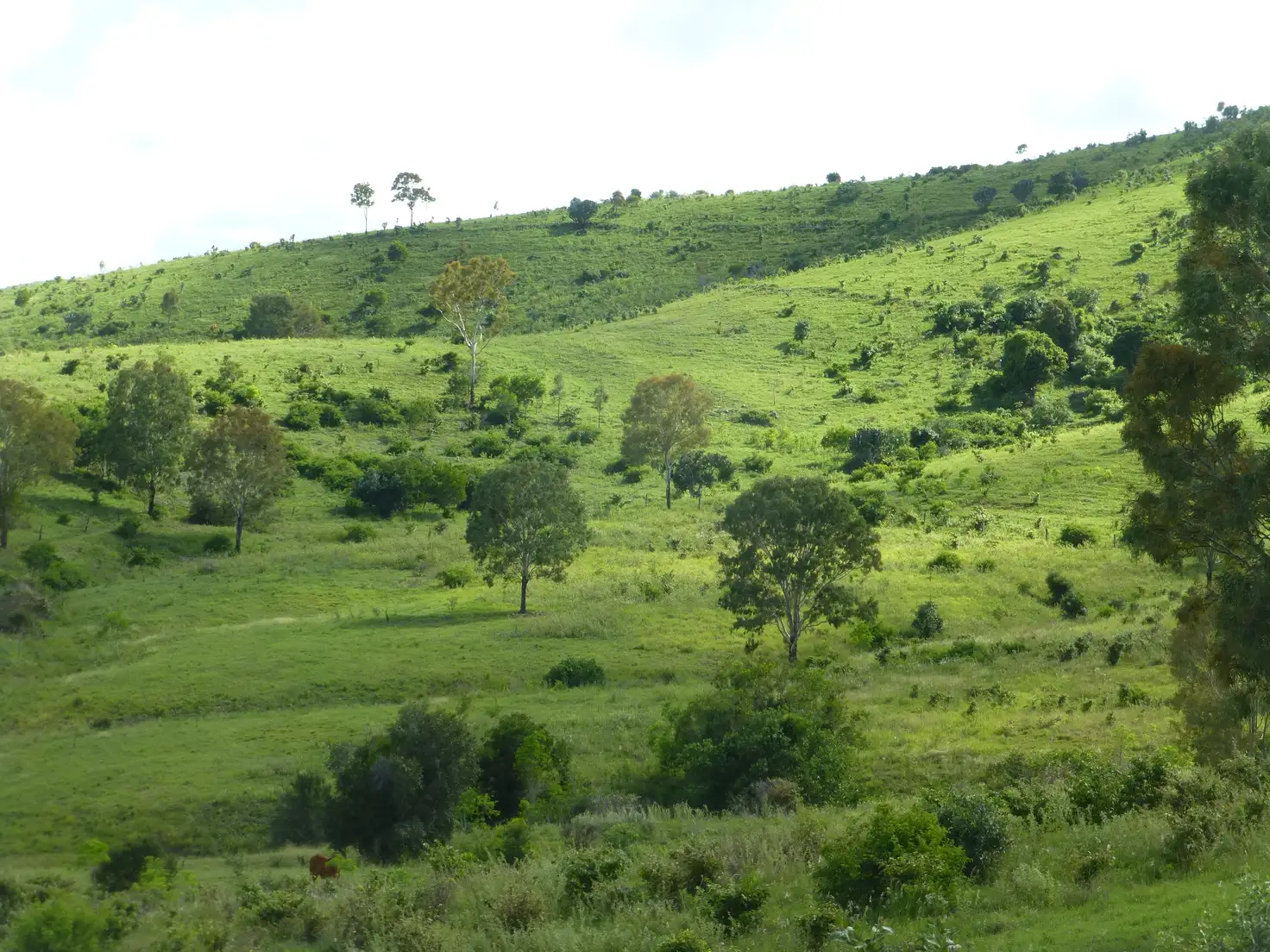 Main view of Homely rural property listing, Address available on request