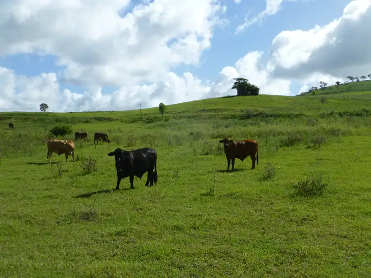 Fifth view of Homely rural property listing, Address available on request