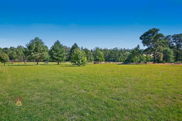 3156 Healesville-Kinglake Road, Kinglake VIC 3763