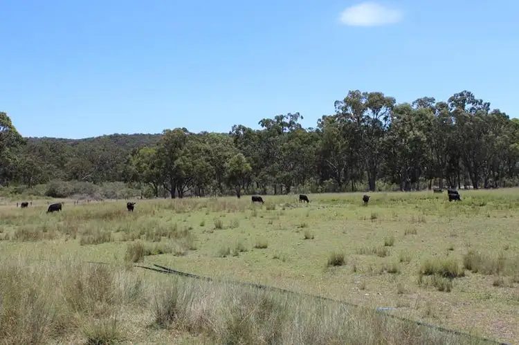 Fourth view of Homely land listing, 1679 Eukey Road, Eukey QLD 4380